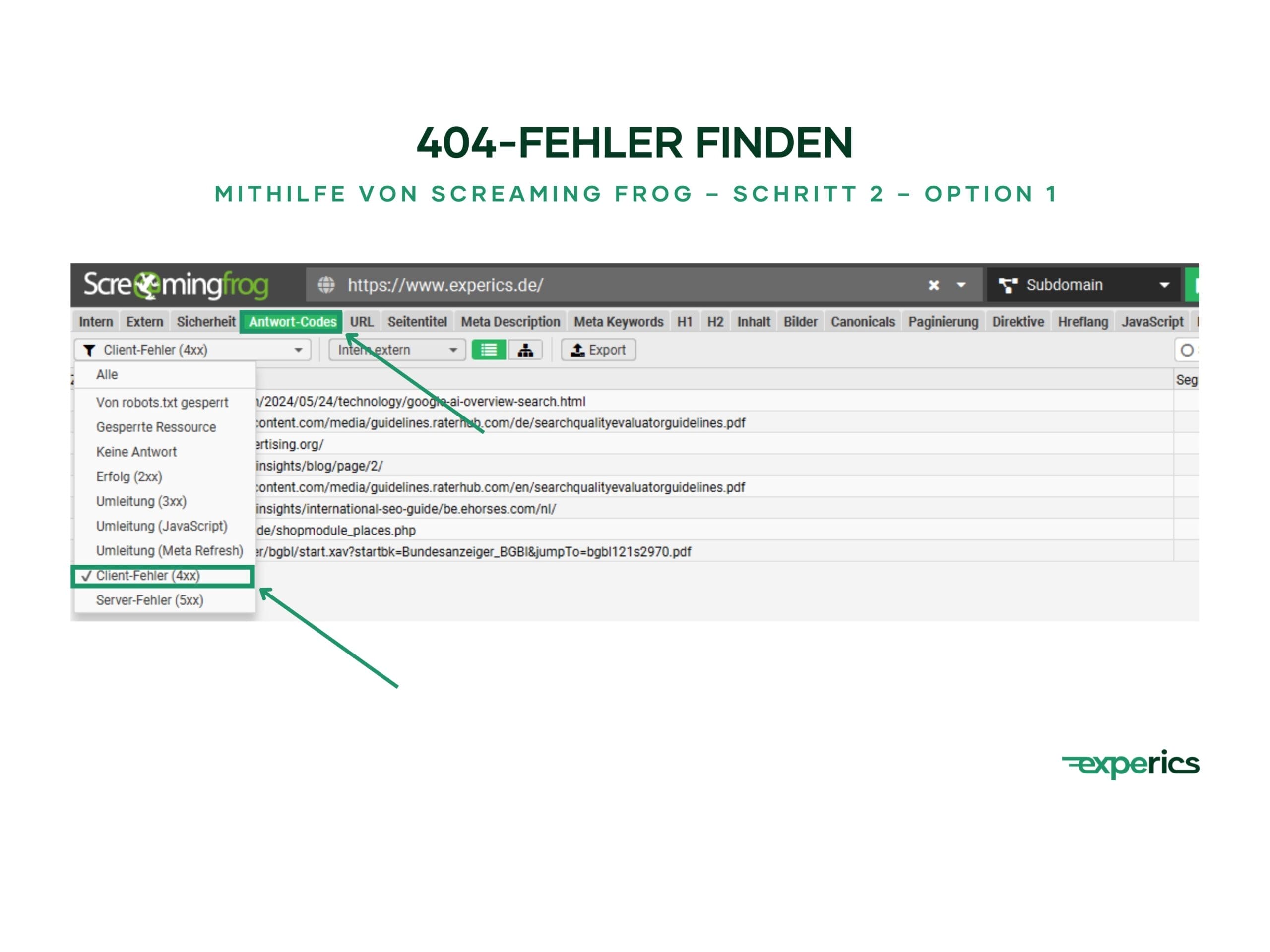 Das Tool „Screaming Frog“ stellt dir verschiedene Optionen zur Verfügung, um 404-Fehler zu identifizieren. Der folgende Screenshot zeigt, wie du diese Fehler filtern kannst.