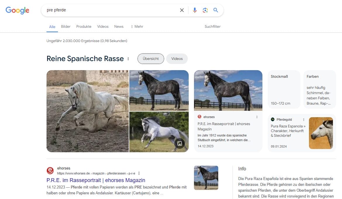 Die Universal-Search-Integrationen halfen uns dabei, die Markenbekanntheit von „ehorses“ deutlich zu steigern.
