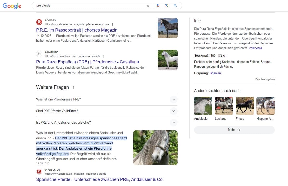 Mit sogenanntem Helpful Content erhöhst du deine Chancen auf eine organische Platzierung in der Google-Suche im Bereich „Weitere Fragen“.