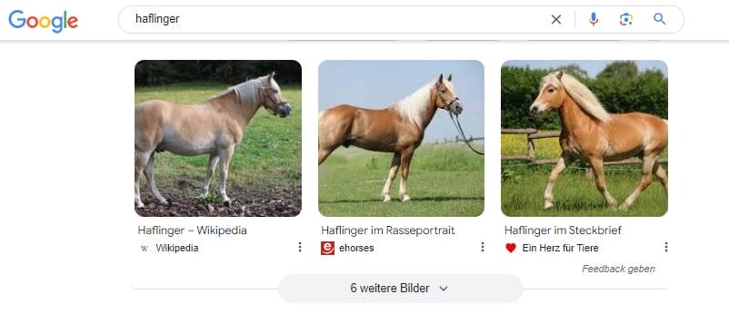 Die Image-Universal-Search bei Google ist ein weiteres probates Mittel, um mehr Aufmerksamkeit auf die Marke zu lenken.