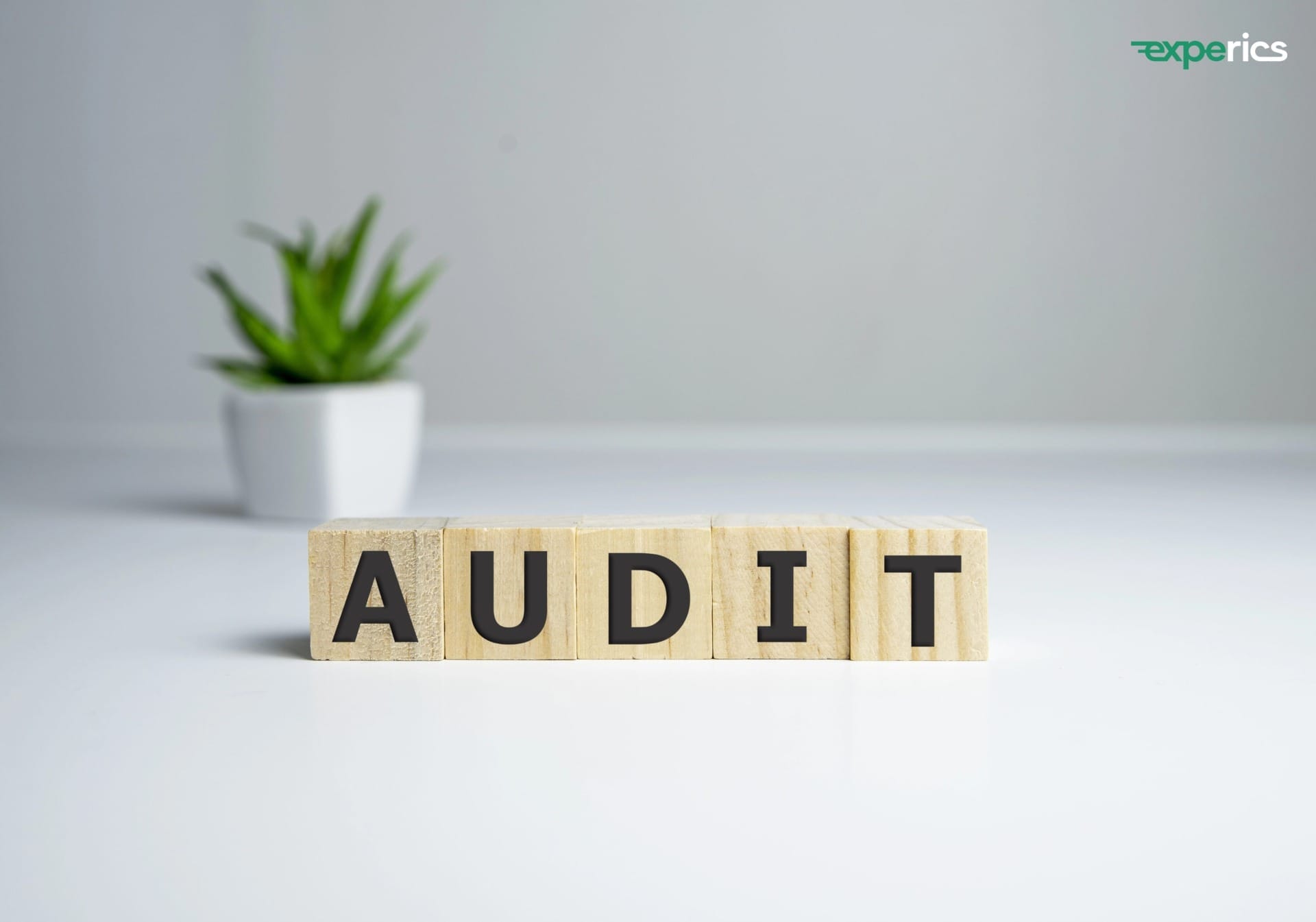 Content-Audit & SEO: Wie gut performen deine Inhalte wirklich?