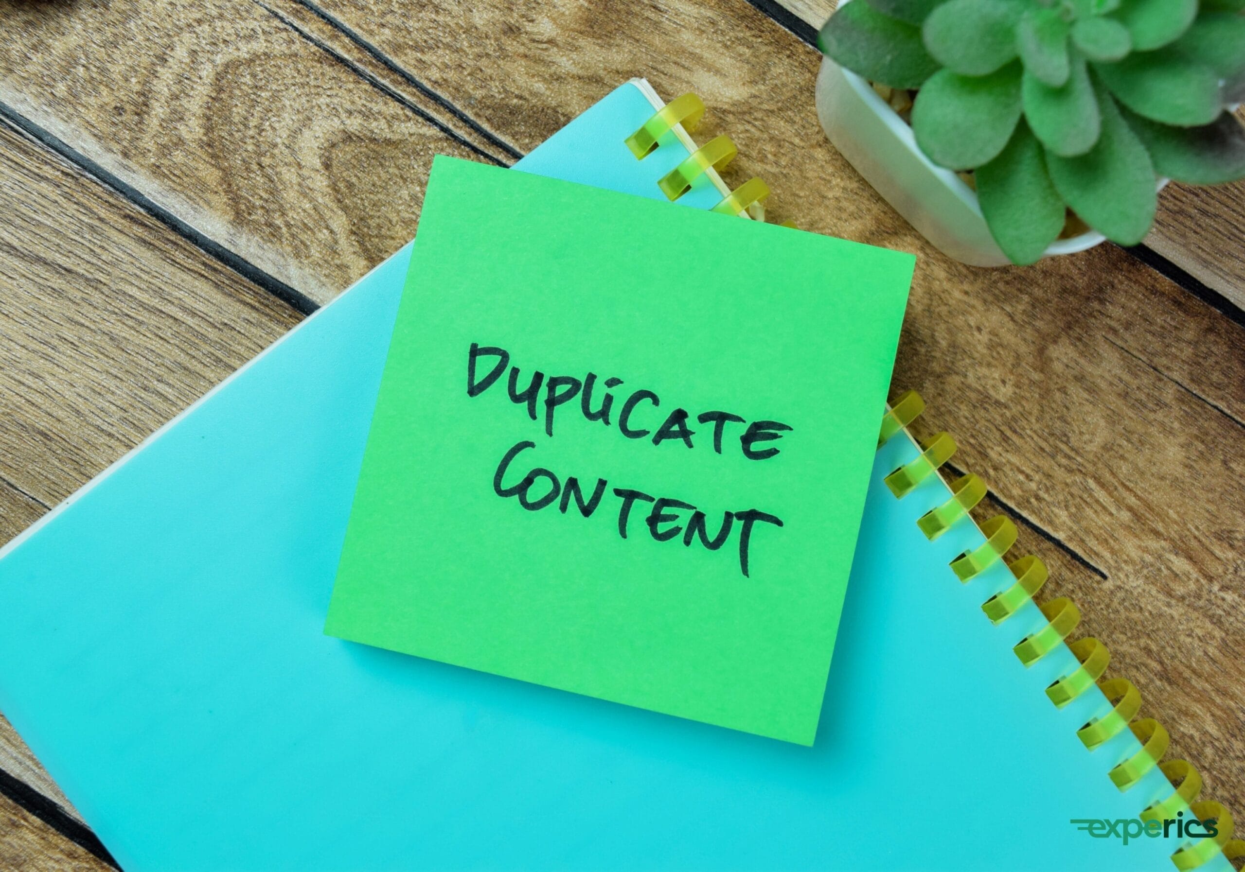 Duplicate Content: Ursachen, Risiken und Lösungen