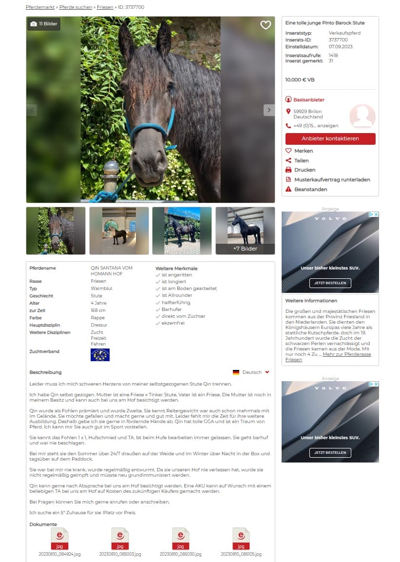 Dieses Beispiel für eine wirkungsvolle Produktbeschreibung ist ebenfalls conversionstark: ehorses” macht es genau richtig. 