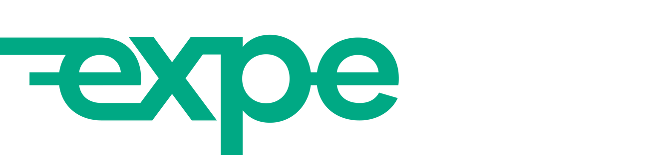 experics logo transparent