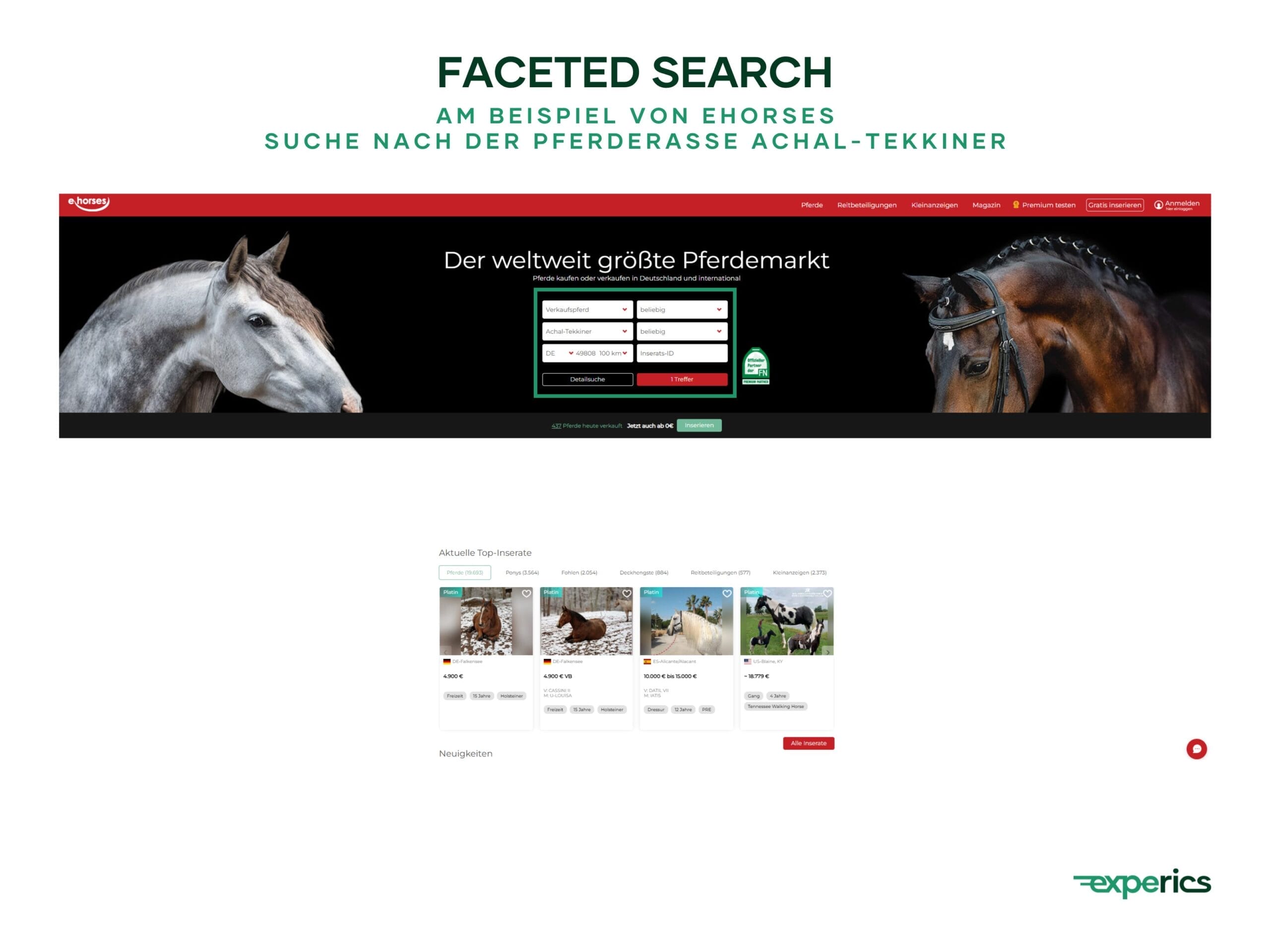 Bei „ehorses“ führt die Facettennavigation Nutzer schnell zu ihrem Wunschpferd.