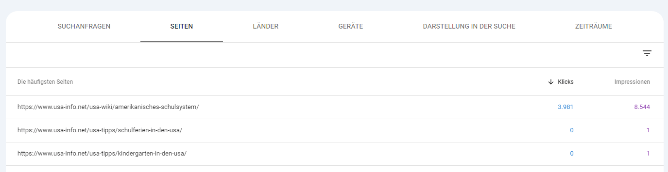 Durch eine gründliche Keyword-Recherche lassen sich schnell passende Keywords für holistische Unterseiten finden. In diesem Beispiel wurde auf das Keyword-Set „amerikanisches Schulsystem“ optimiert.