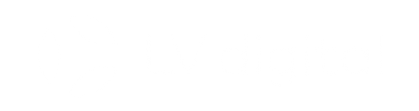 LV Digital Logo transparent