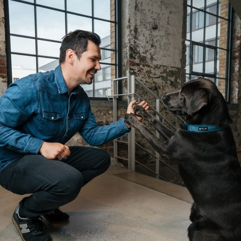 Matthias Mehlich - SEO Fressnapf