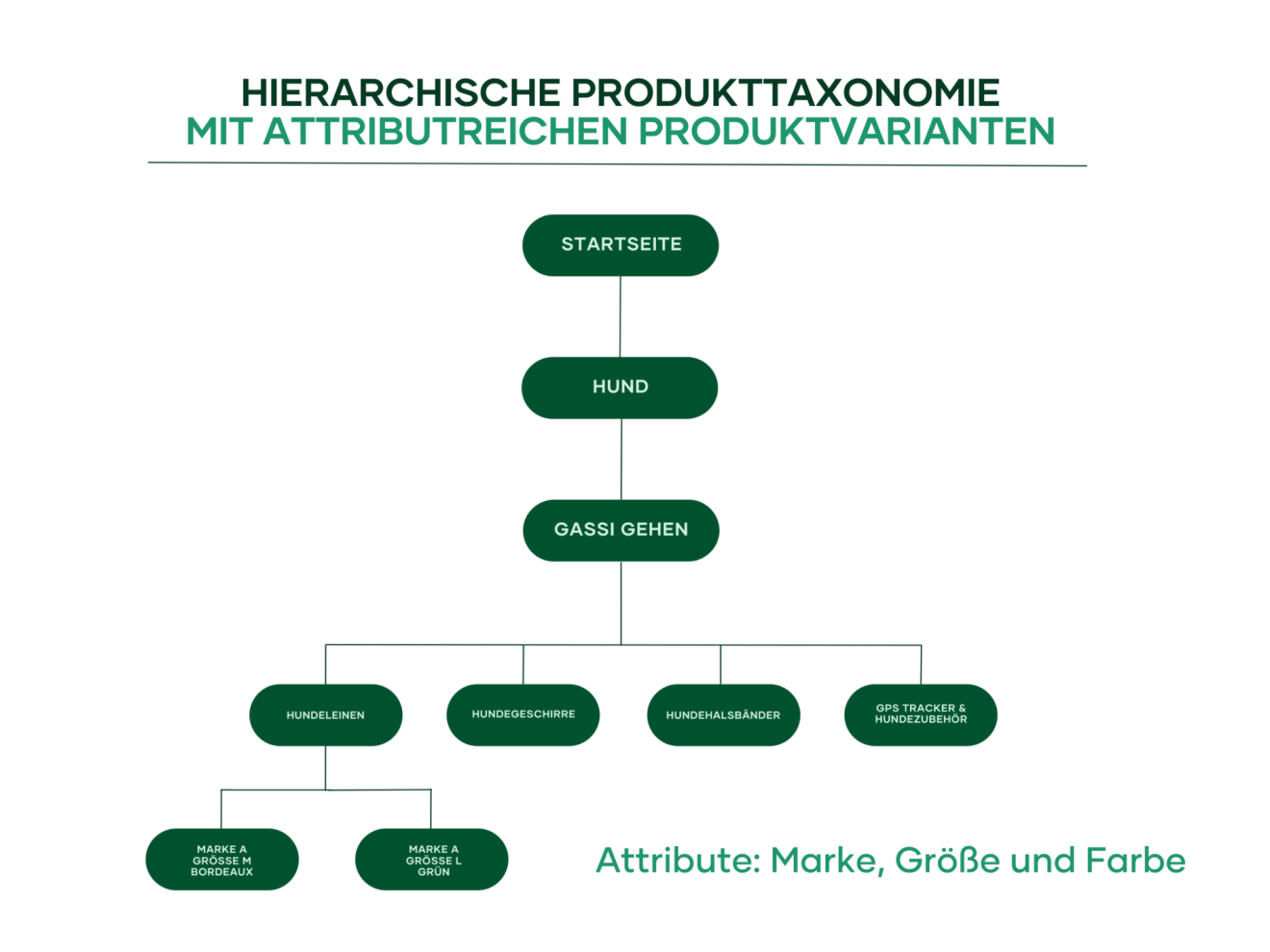 Eine hierarchische Produkttaxonomie eignet sich besonders bei attributreichen Produktvarianten. Davon profitiert auch „Fressnapf“.