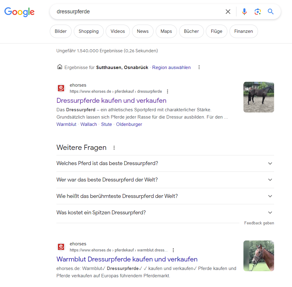 Dank Bilder-SEO konnte „ehorses“ sich erfolgreich in der Bildersuche positionieren. Das Suchergebnis erscheint als Snippet.