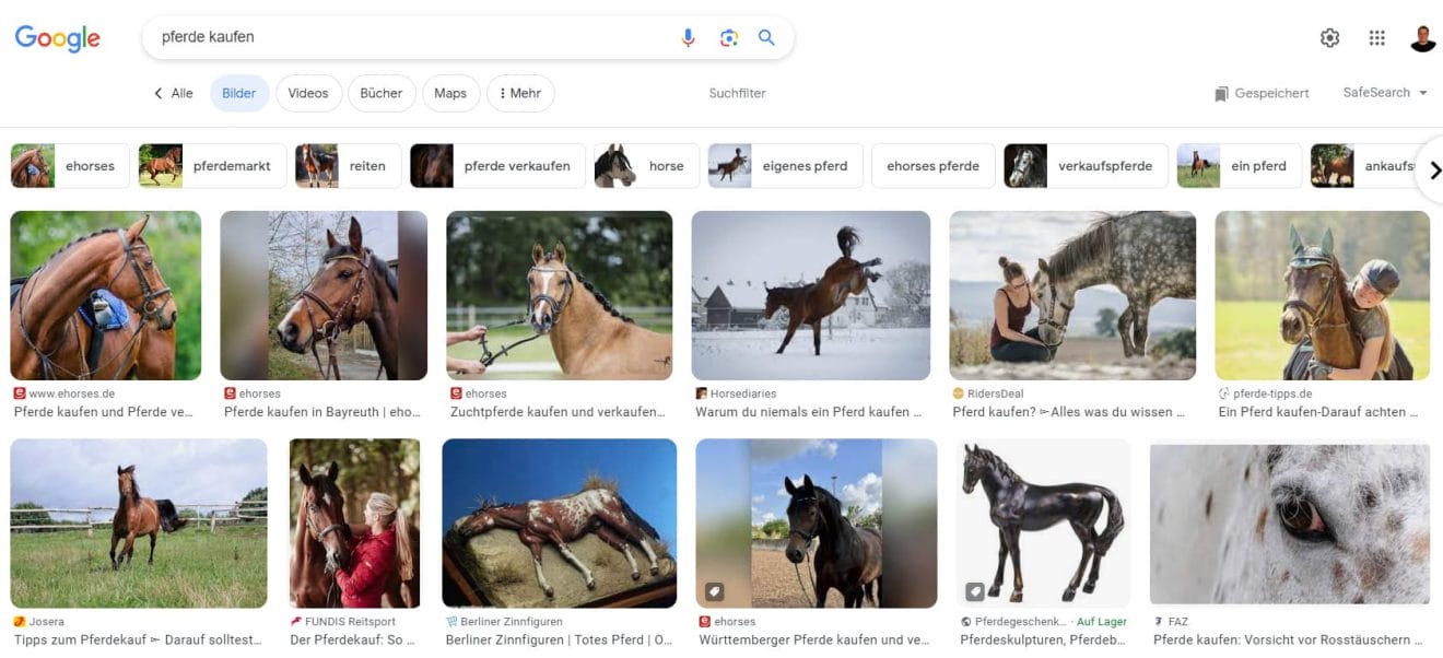 Dank Bilder-SEO belegt „ehorses“ die ersten Plätze bei Google. 