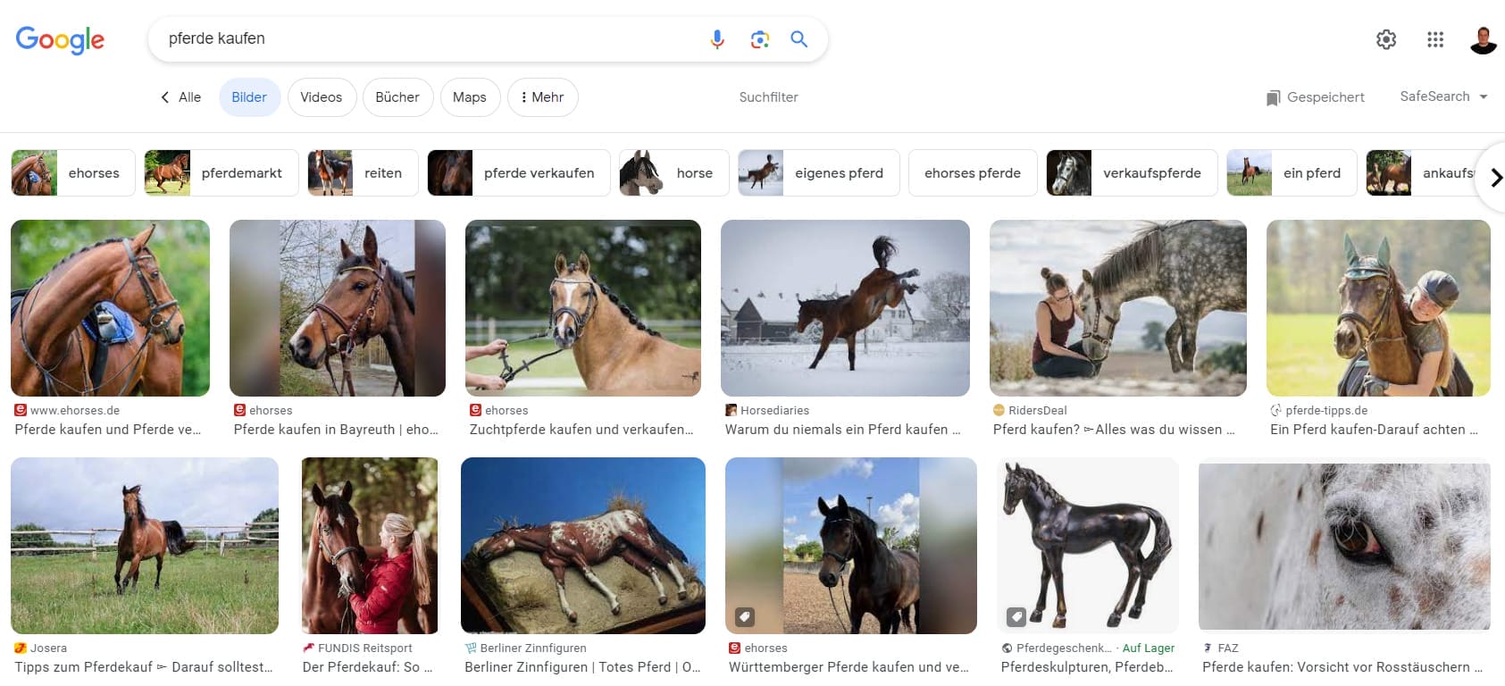 Dank Bilder-Seo Belegt „Ehorses“ Die Ersten Plätze Bei Google. 