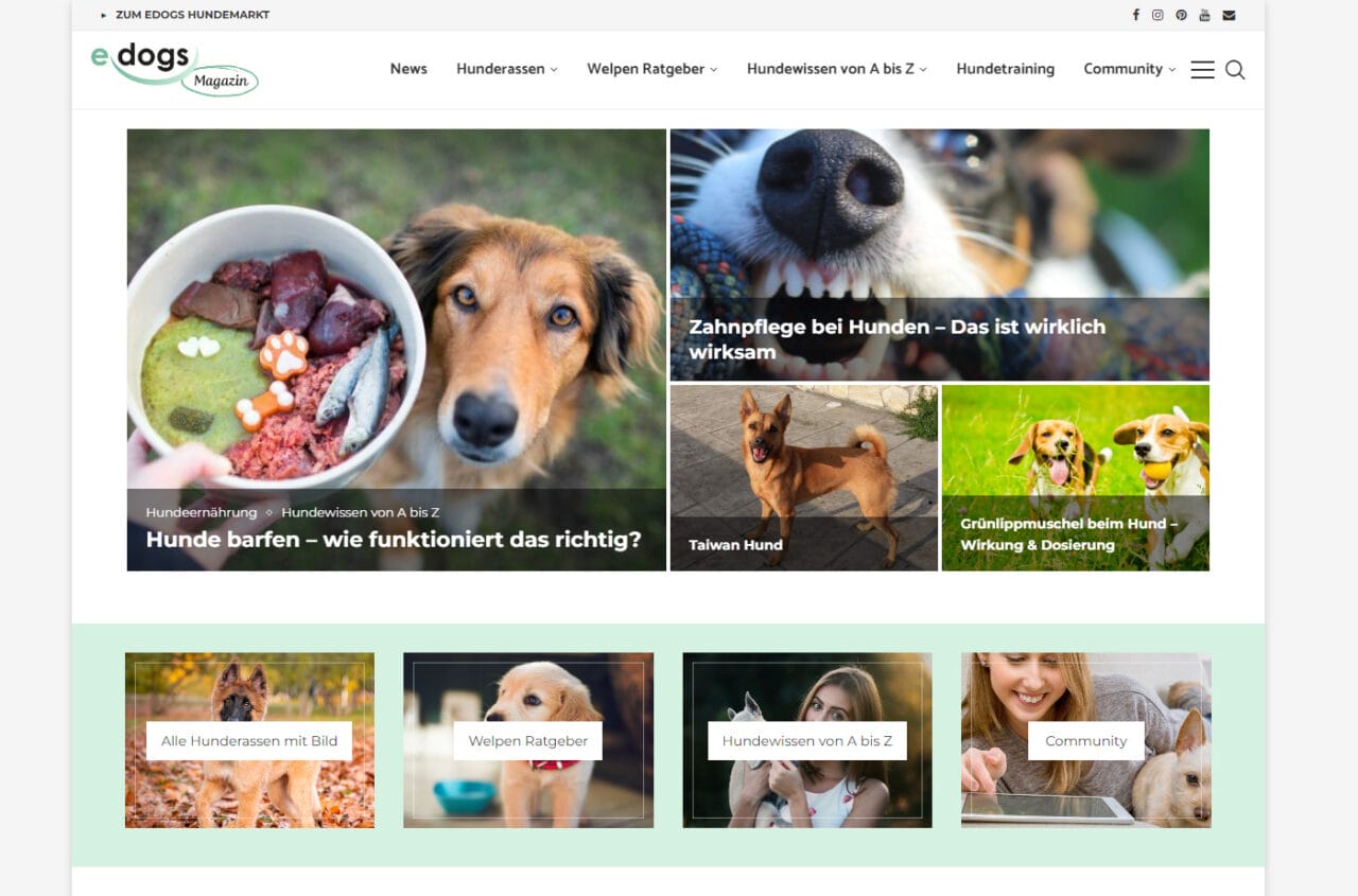 Screenshot edogs Magazin Screenshot edogs Magazin