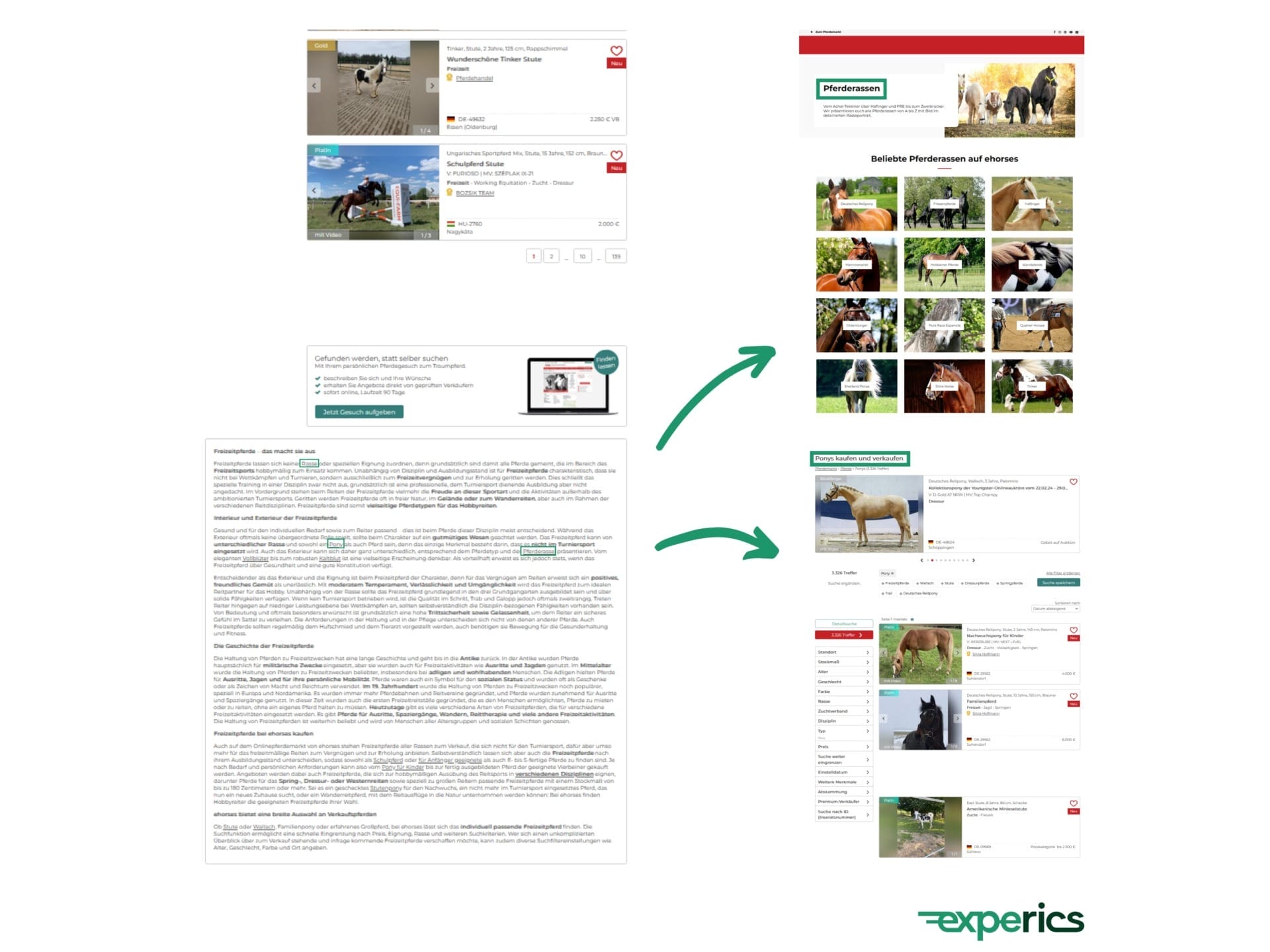 Die Kategorie-Seite von ehorses schafft einen Mehrwert, indem sie sowohl auf informative Magazin-Inhalte als auch auf den transaktionalen Marktplatz selbst verlinkt. Somit wird der gemischte Intent bestmöglich befriedigt.