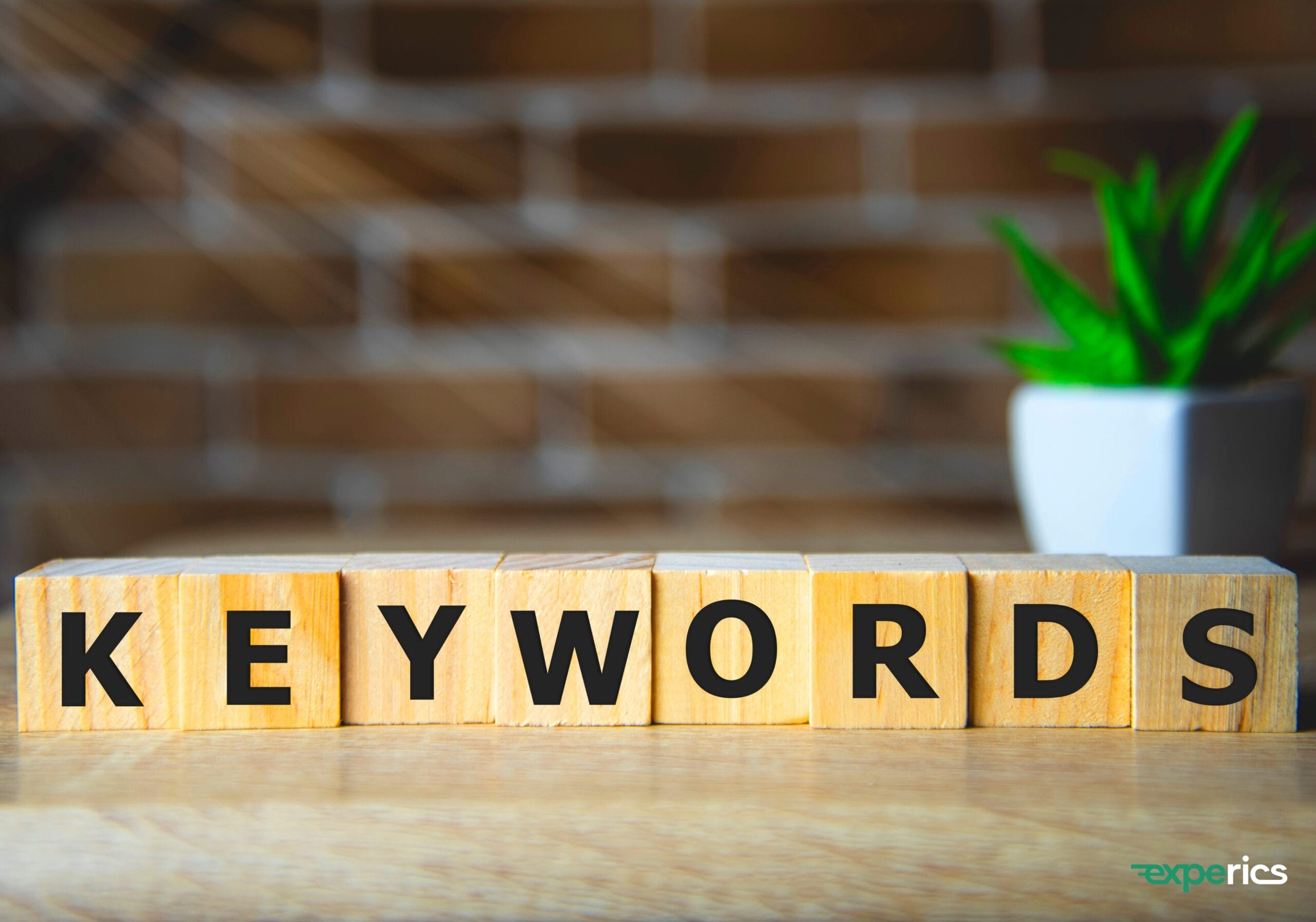 SEO & Keywords: So findest du die richtigen Suchbegriffe für deinen Online-Shop